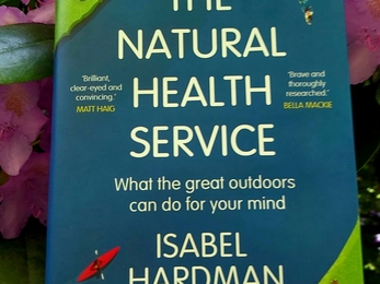 Colour photo of the cover of Isabel Hardman's book - The Natural Health Service 