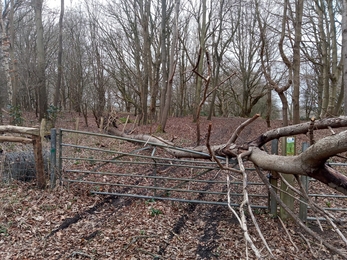 A tree is brought down by the strong winds, causing damage to site infrastructure
