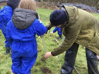 Hedge planting with primary schools Lynsted Kitchen Gardens