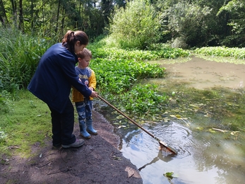 Tutor helps child wearing wellington boots to dip net into a river and find what creatures live there