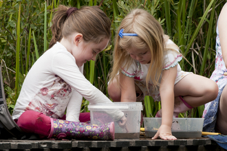 Children pond dipping, photo by Ross Hoddinott/2020VISION