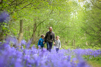 People and bluebells, photo by Tom Marshall
