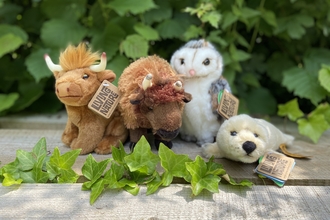 Adopt a species plushies: highland cow, bison, barn own and grey seal