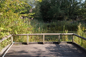 View from pond dipping platform