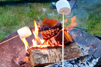 Marshmallows roasting on fire