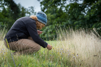 A woman crouched down in the grass surveying the plant population