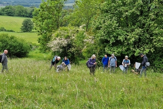 volunteer group took a break from birch pulling to go on a 'field trip' to KWT Fackenden Down, a chalk grassland, where we looked for wildflowers
