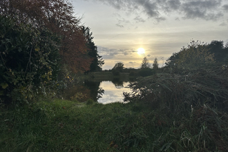 Heather Corrie Vale, pond and sunset