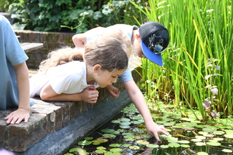 Two children staring into a small pond, one child reaches out to touch the water