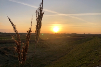 Grasses against an orange sunset over Oare Marshes