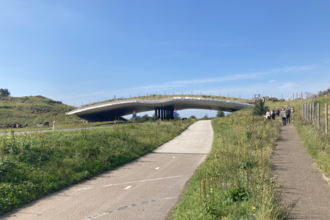 Dutch wildlife bridge named the Zeeport bridge