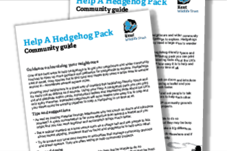 Hedgehog pack community guide