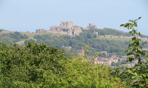 Dover Castle from Coombe Down
