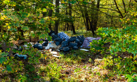 Rubbish and bin bags dumped in the middle of a woodland
