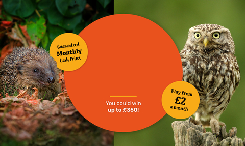 Wildlife Lottery, Guaranteed Monthly Prizes, Play from £2 and you could win up to £350