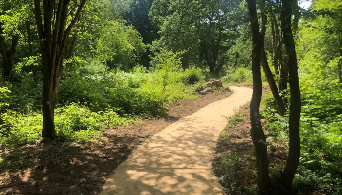 A trail through a sunny woodland at Hothfield Heathlands.