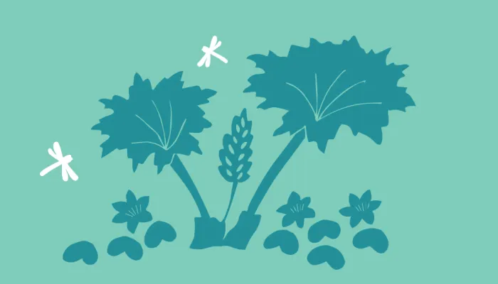 bog garden illustration