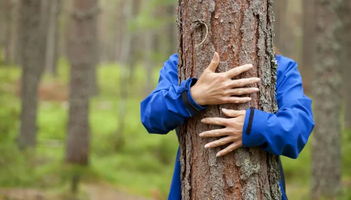 A person's arms wrapped around a tree trunk.