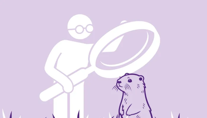 A person with a magnifying glass observing an otter
