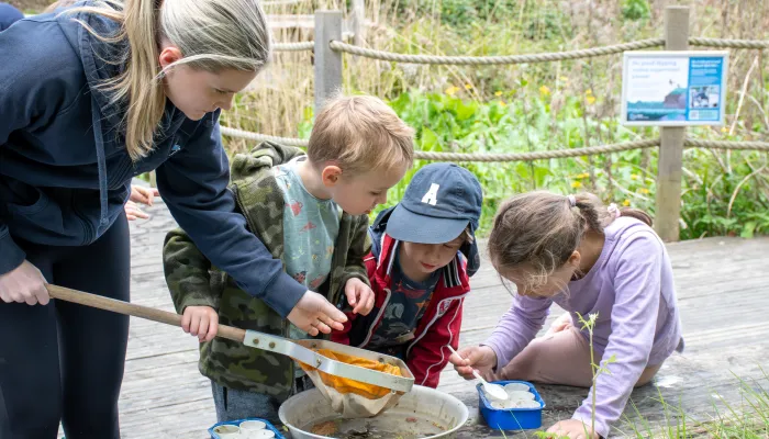 three children looking into a net after rock pooling