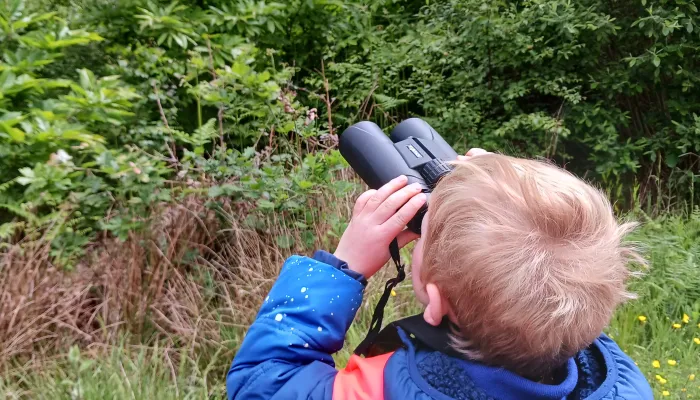 Wilder Schools - Hoath