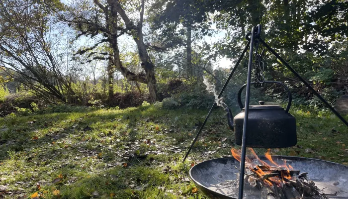 A steaming kettle hanging from a tripod over a campfire, with trees in the background.