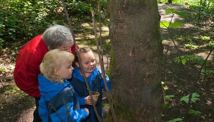 Two children in waterproofs looking at a tree in woodland with an adult. 