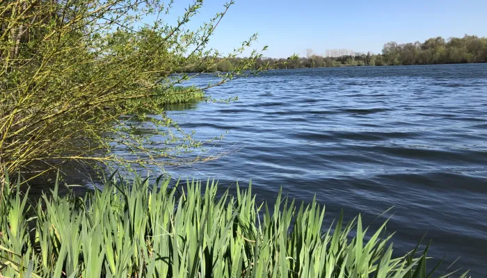 Sevenoaks Wildlife Reserve lake