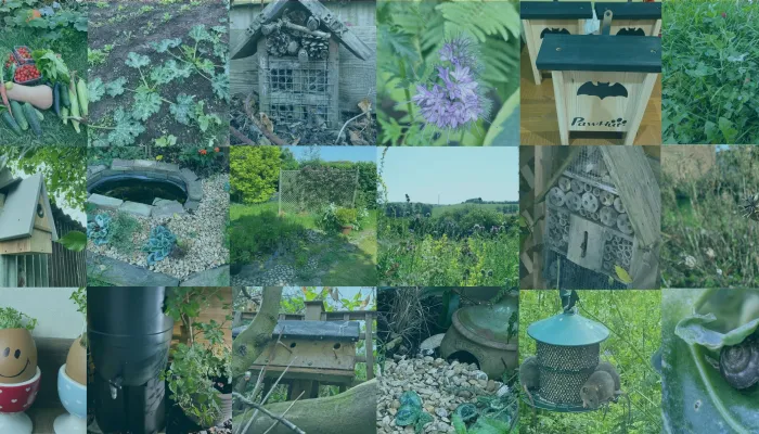 collage of user uploaded nature actions