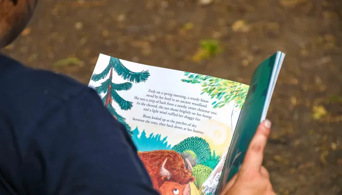 The Bison and the Butterfly Storybook