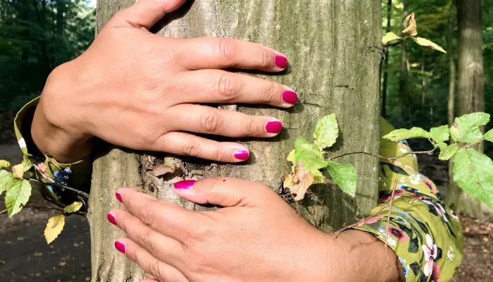 Hand touching a tree