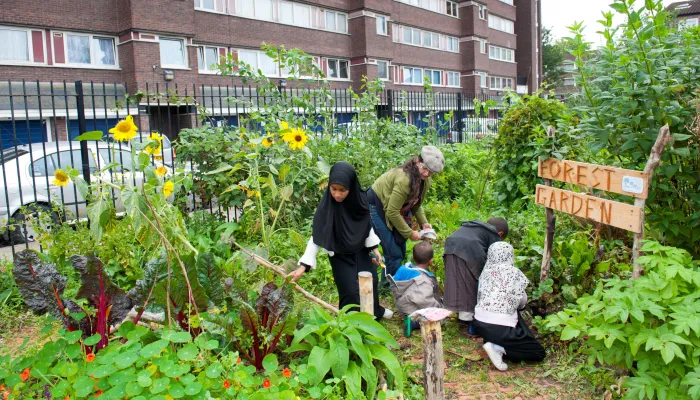 people in community garden