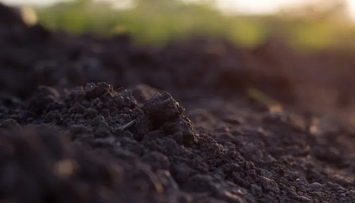pile of soil against green defocussed background