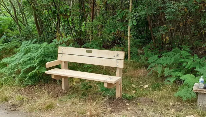 Bench at the Blean