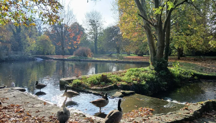 Bradbourne Lakes
