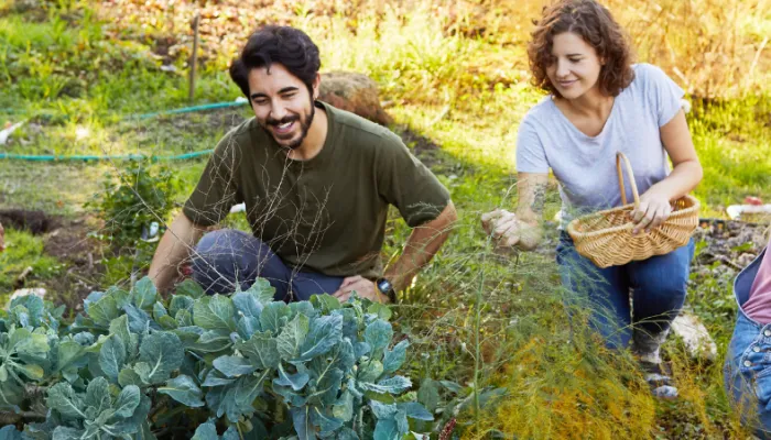 Things you can do in your community to tackle climate change | Kent ...