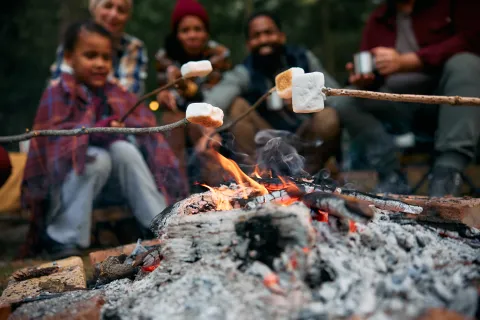 Campfire Cooking