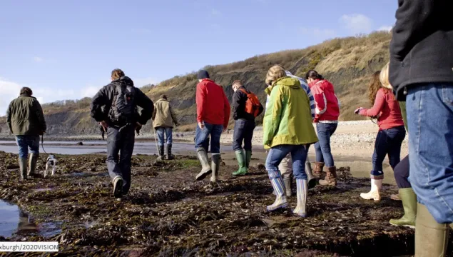 Intertidal Investigations