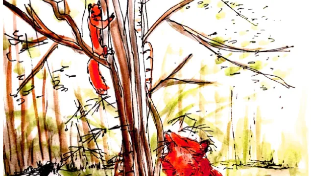 Rowan and the Birch