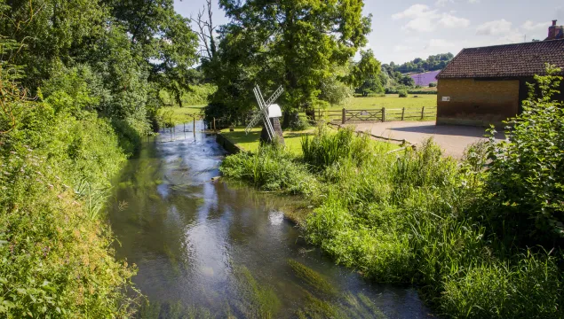 Darent Valley River and windmill