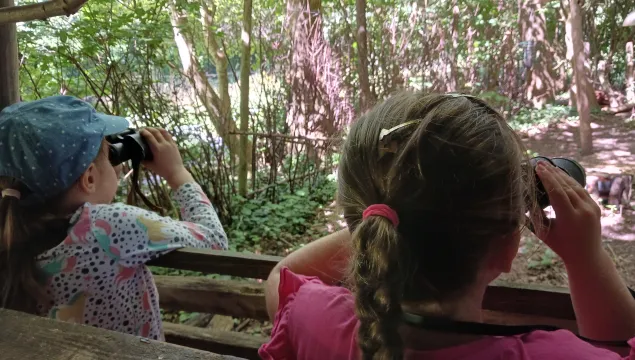 Children holding binoculars to their eyes as they watch wildlife from a bird hide in a woodland