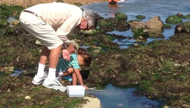 Father and child rock pooling together by Pat Storey
