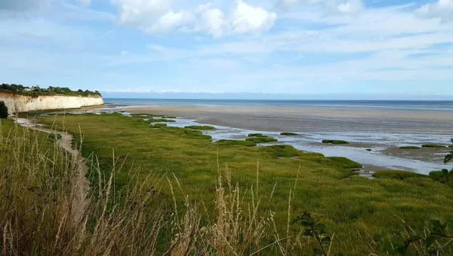 A view of the saltmarshes at Pegwell Bay.