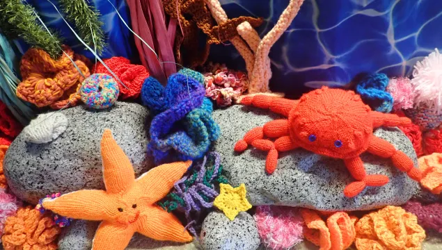Woolly Watery World