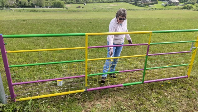 Gate painting