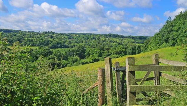 Queendown Warren landscape shot showing a gate in the foreground and a lovely backdrop of trees and blue sky in the background