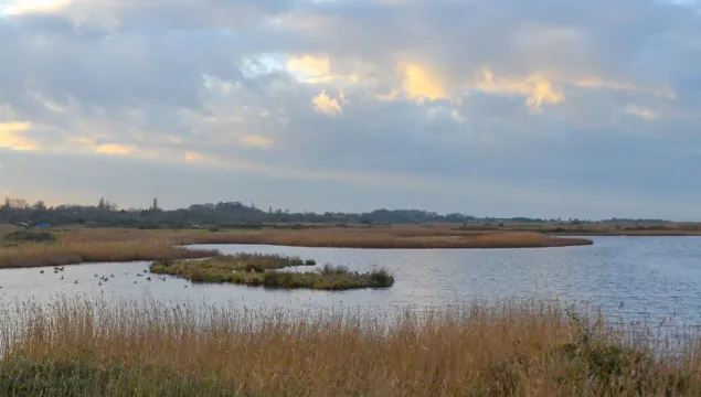 Oare marshes