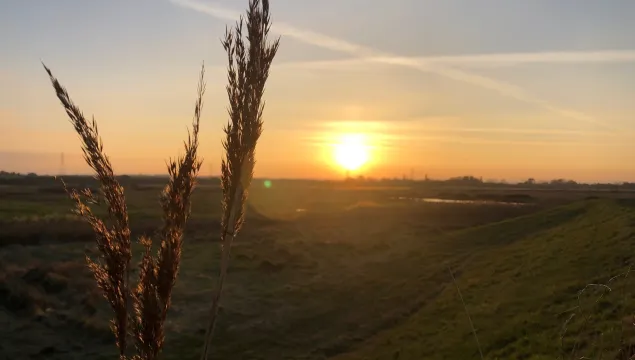 oare marshes - Louise Matthews