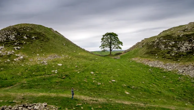 Sycamore gap