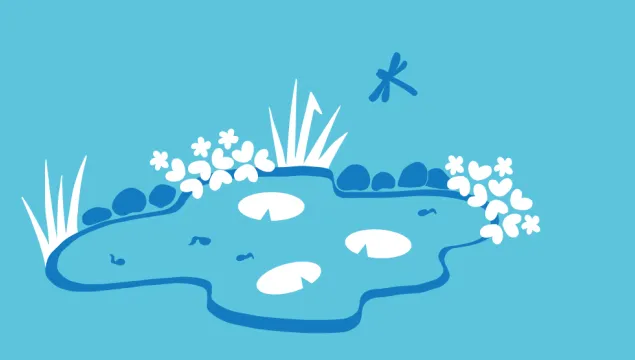pond illustration